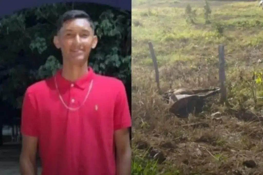 Cavalo solto na pi-392 morte baixa grande: Jovem vítima e cavalo envolvidos em acidente fatal PI-392