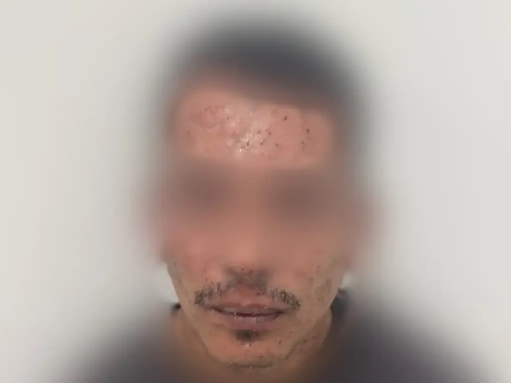 Suspeito preso após ataque de abelhas em teresina: Suspeito de roubo atacado por abelhas em Teresina
