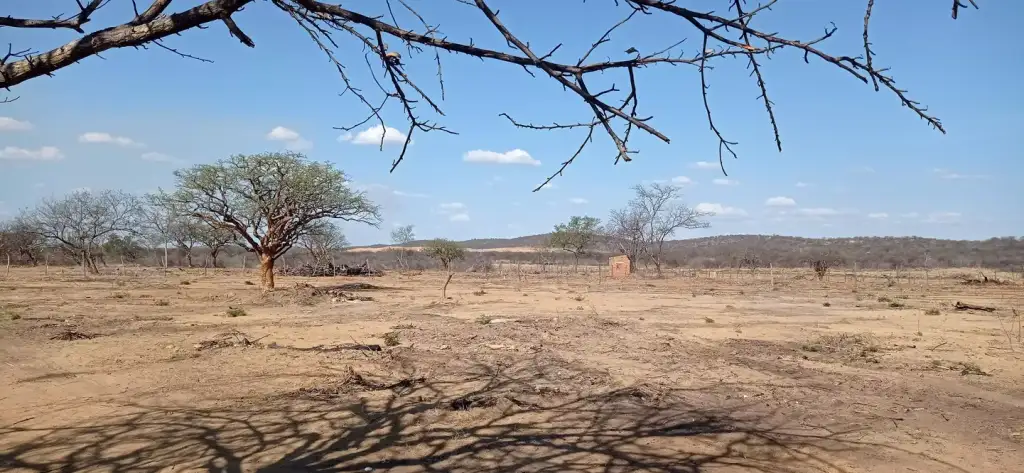 Oeiras temperatura recorde no brasil: Paisagem seca de Oeiras reflete temperatura recorde