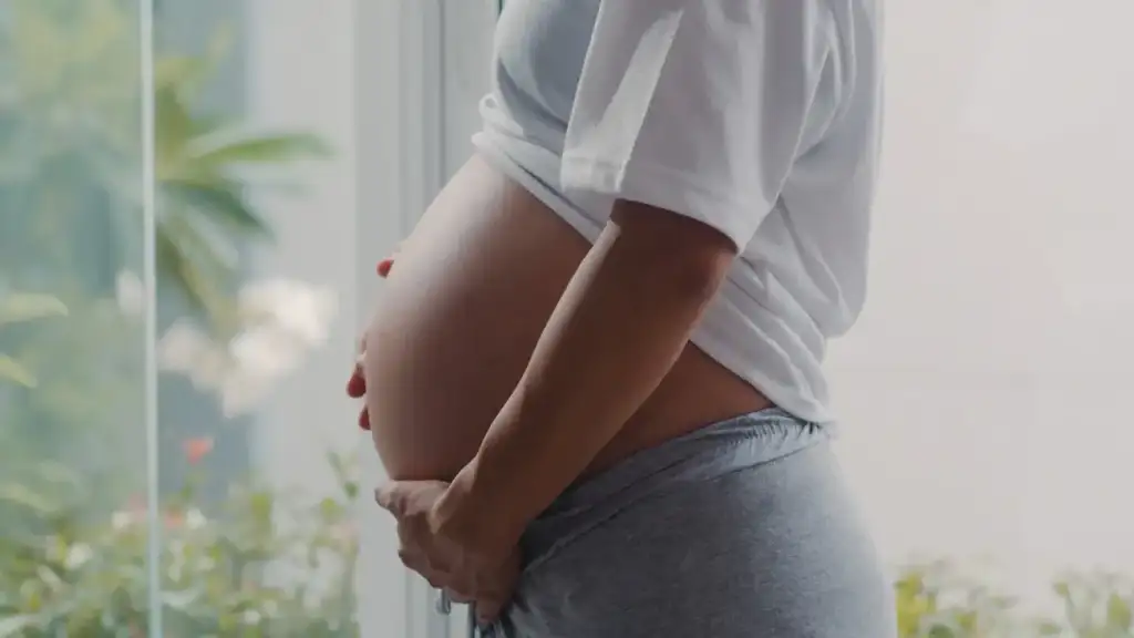 Teleconsulta obstetrícia gestantes piauí: Gestante no Piauí acessa teleconsulta obstétrica Sesapi