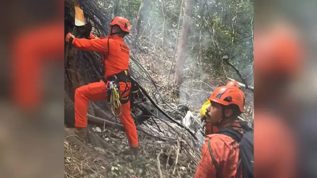 Helicóptero cai na vista chinesa: Bombeiros atuam no local da queda de helicóptero no Rio