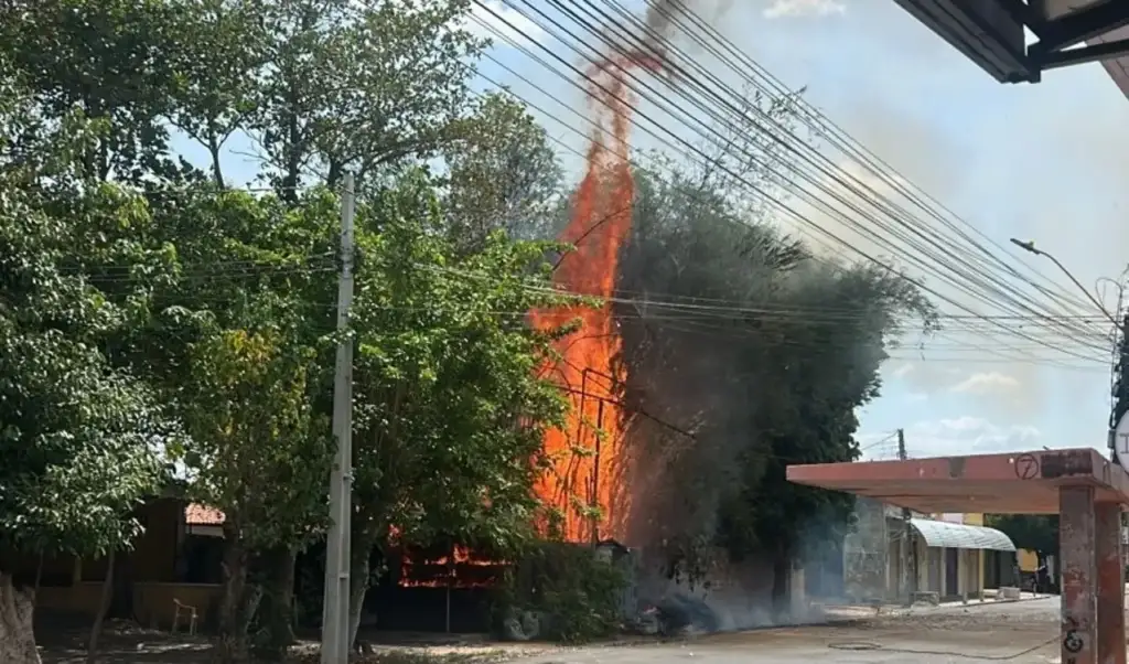 Queimadas interrompem energia no piauí: Queimada atinge vegetação e rede elétrica em Teresina