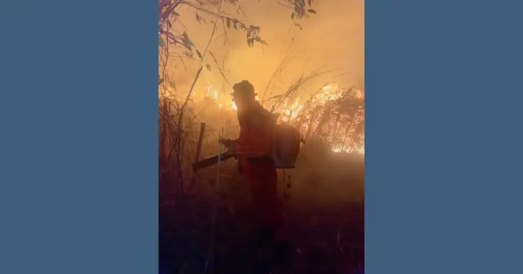 Incêndios em vegetação no piauí: Bombeiro combate incêndio em vegetação no Piauí