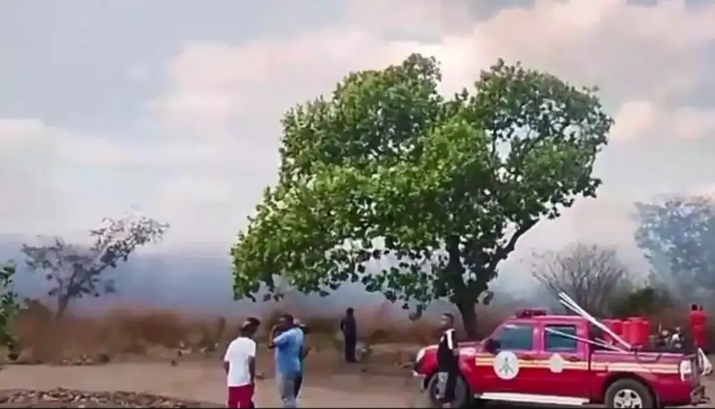 Incêndio em são joão da varjota: Bombeiros combatem incêndio em vegetação de São João da Varjota