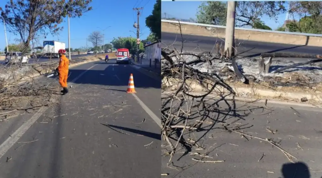 Árvore em chamas cai sobre motociclista br-316: Bombeiro remove árvore queimada após acidente BR-316 Teresina