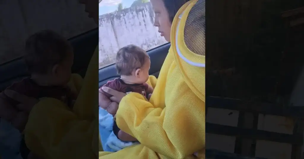 Ataque de abelhas em oeiras: Bombeiro resgata mãe e recém-nascido de ataque de abelhas