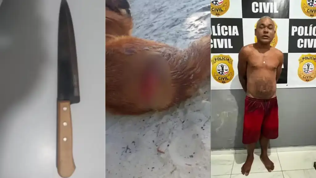 Homem preso maus-tratos animais axixá: Homem preso por maus-tratos a animais em Axixá