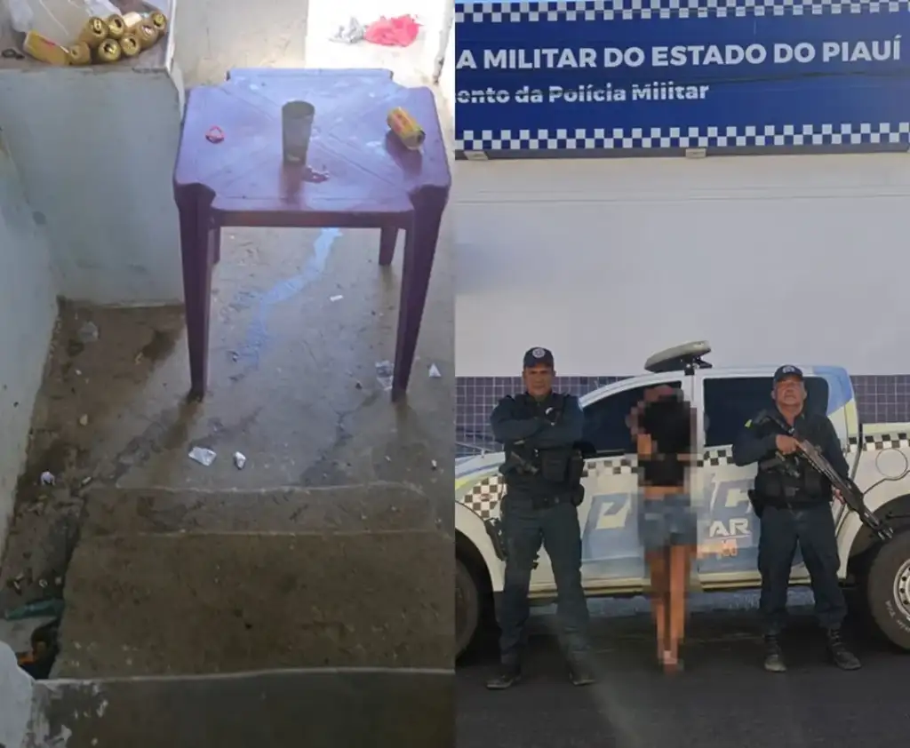 Mãe presa em pio ix abandonou filhos: Mulher presa em Pio IX por abandono de filhos