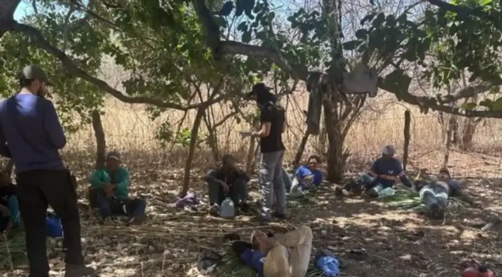 Trabalho escravo no piauí: Trabalhadores resgatados de trabalho escravo em operação no Piauí