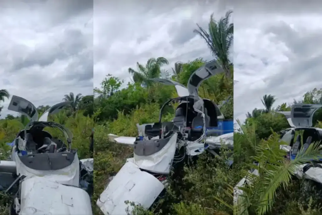 Avião cai em carutapera: Destroços de avião que caiu em Carutapera-MA