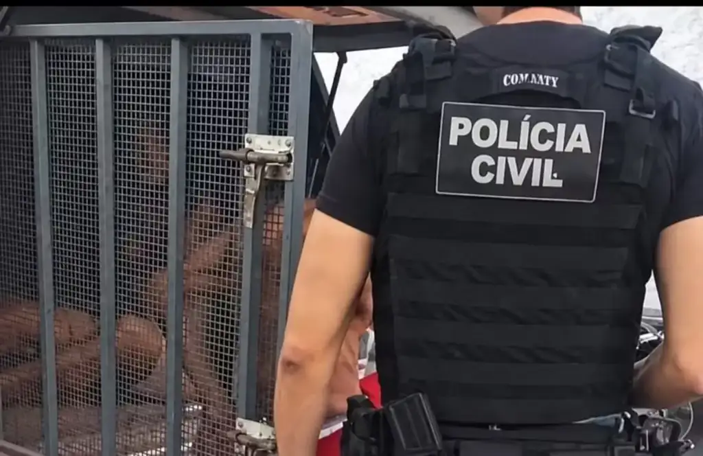 Roubo residência bacuri: Polícia Civil prende suspeitos de roubo em Bacuri
