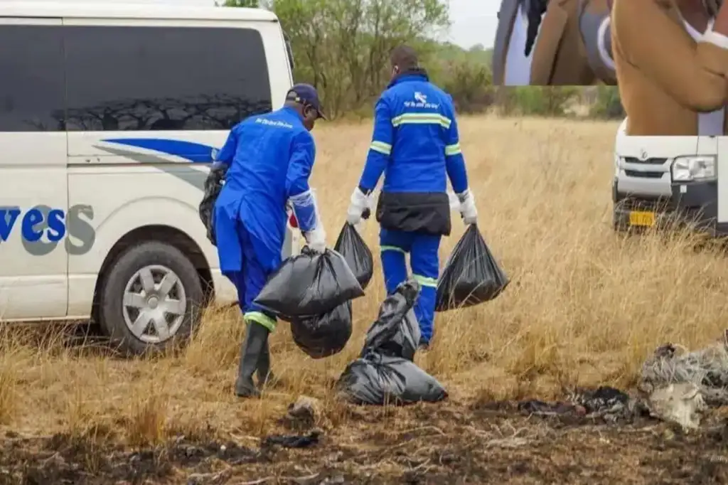 Queda de helicóptero no zimbábue: Equipes de resgate coletam destroços de helicóptero no Zimbábue