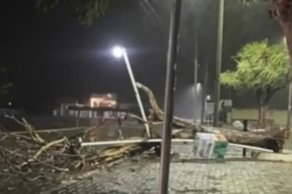 Árvore e poste caídos após temporal em São Raimundo Nonato